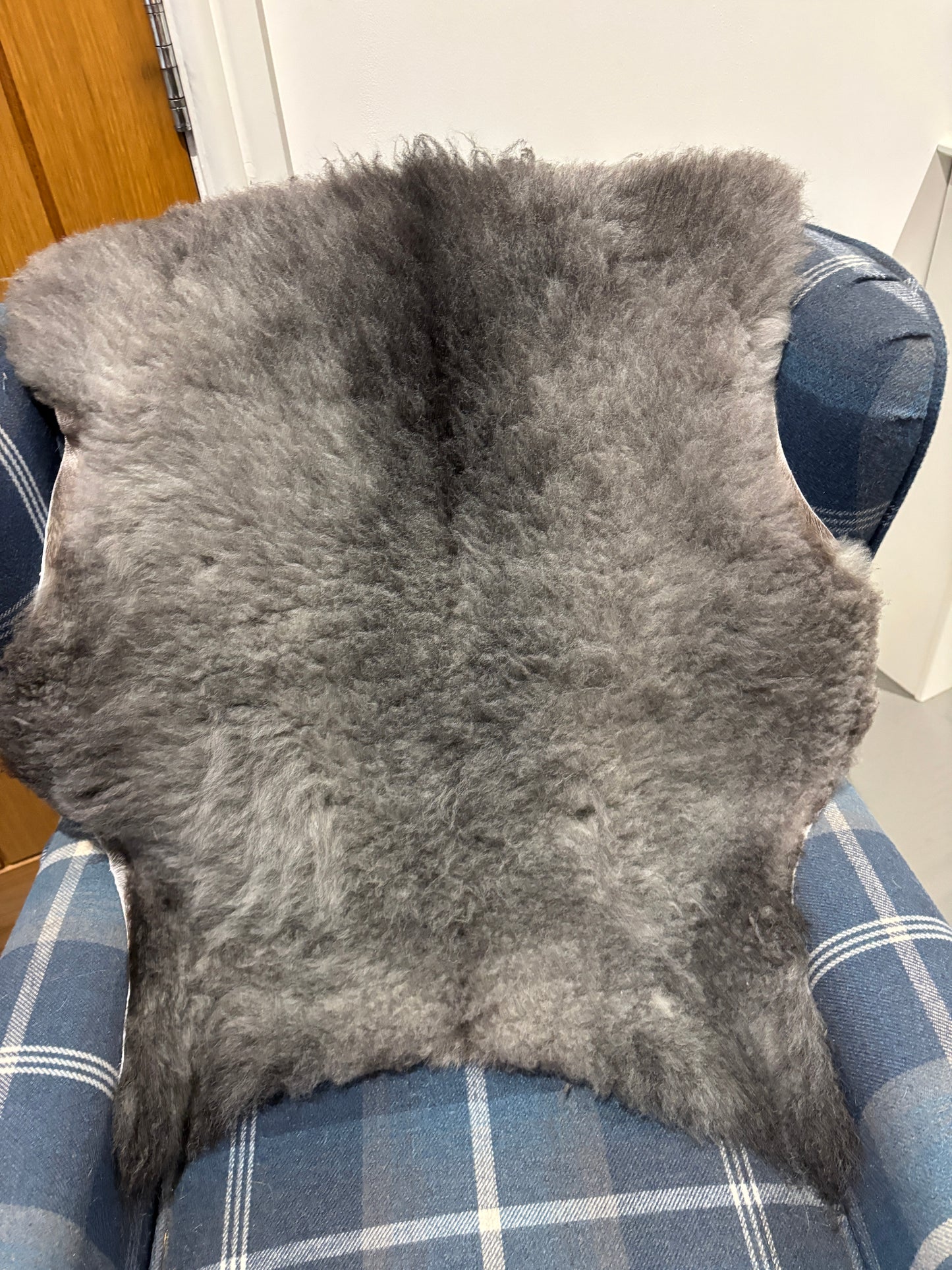 Sheepskin- Blue Texel