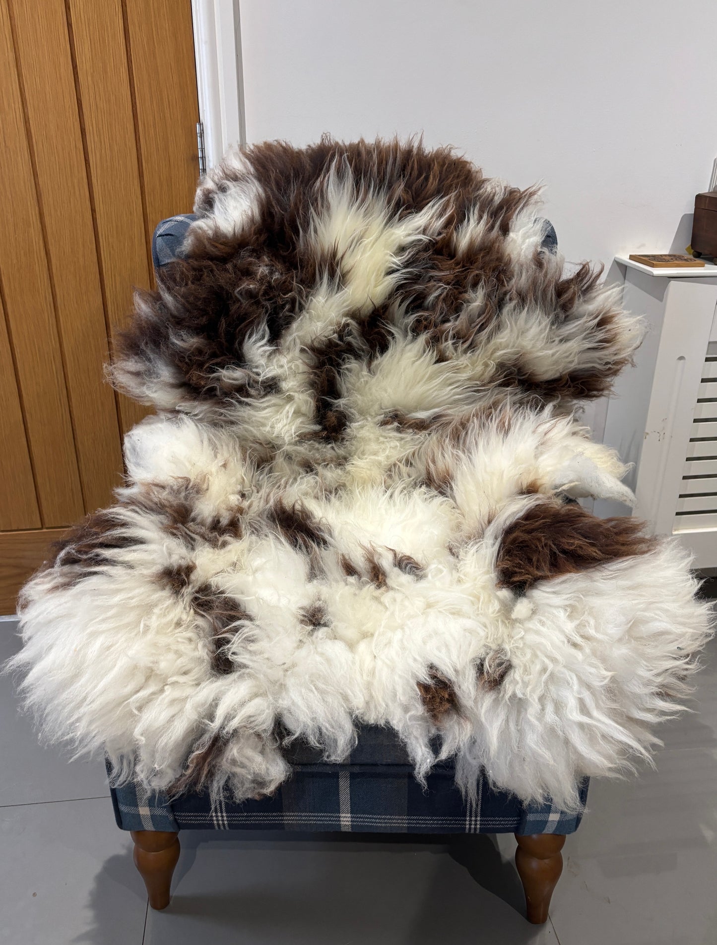 Sheepskin- Jacob (Large)