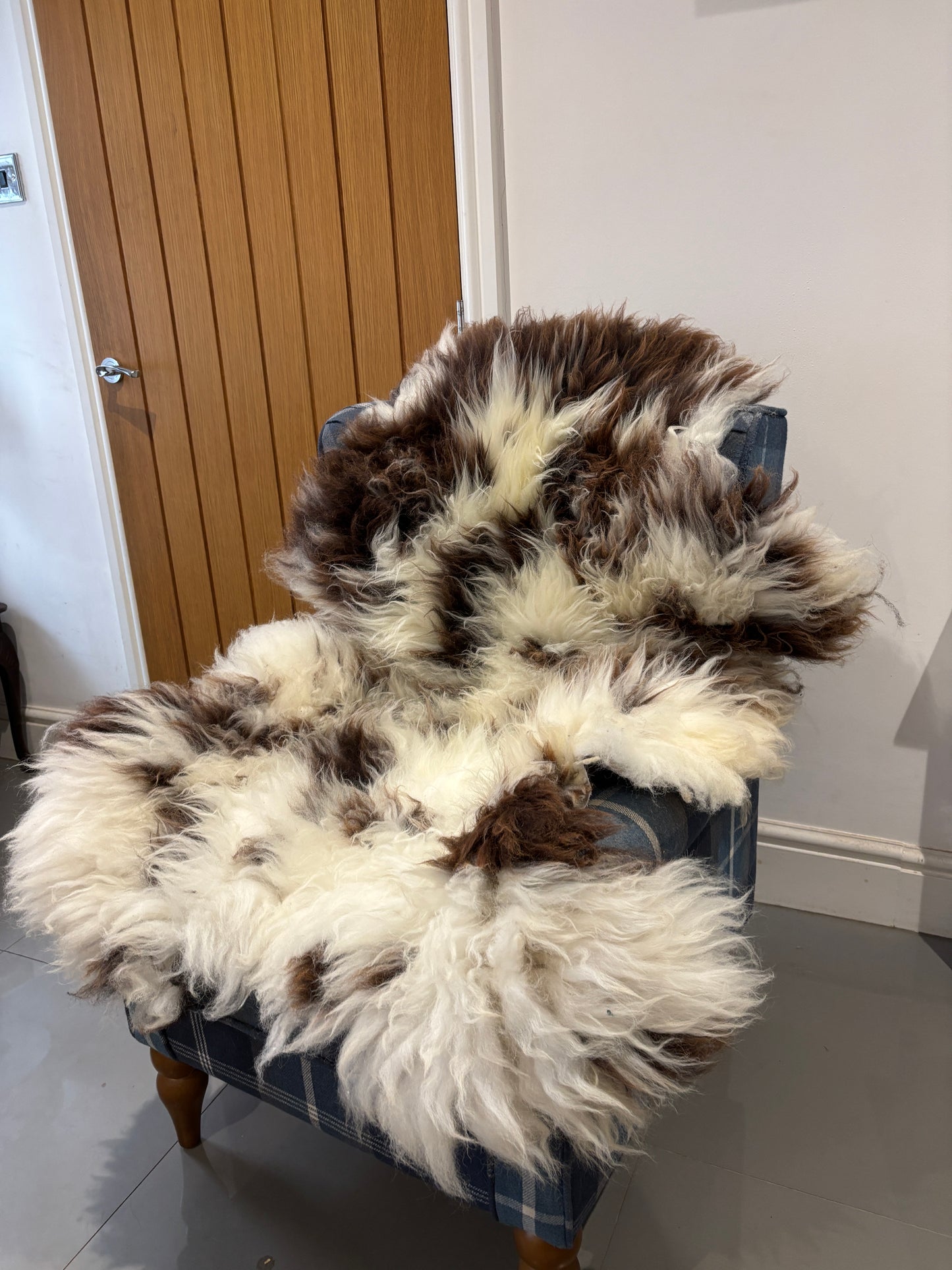 Sheepskin- Jacob (Large)