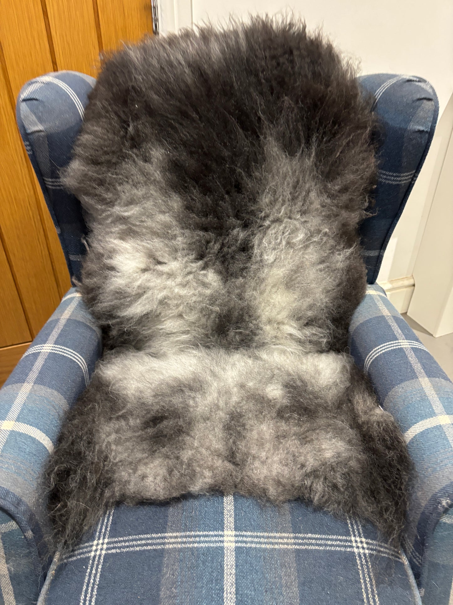 Sheepskin- Blue Texel
