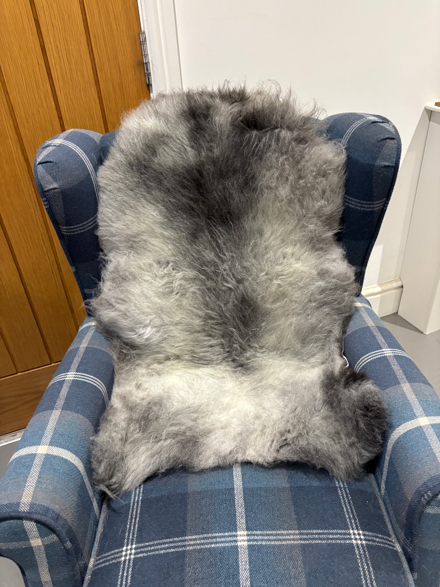 Sheepskin- Blue Texel